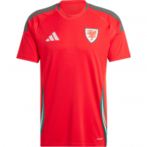Wales Home Soccer Jersey 2024