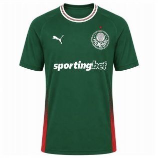 Palmeiras Home Jersey 26/27