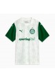 Palmeiras Away Jersey 25/26