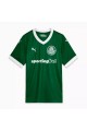 Palmeiras Home Jersey 25/26